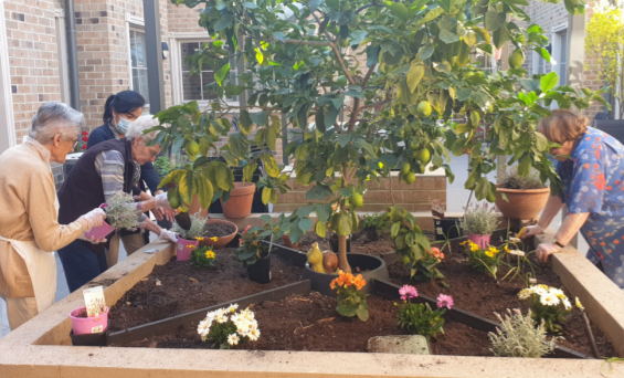 One of our garden beds on our facility.